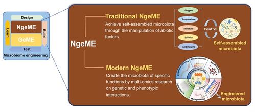 徐岩教授团队在食品科学与安全领域取得突破性研究进展